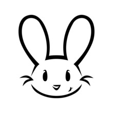 Cute Bunny Face On White Background