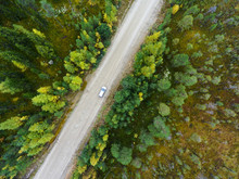 Top View At Passenger Car Driving Along Dirt Road Between Swamps In Autumn Forest