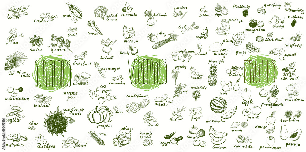 Fruits, vegetables and superfoods collection. Hand drawn set of healthy and organic food. Multiset of vegetable and fruits sketches for menu design. - obrazy, fototapety, plakaty 
