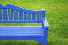 Wet Blue Bench In The Park