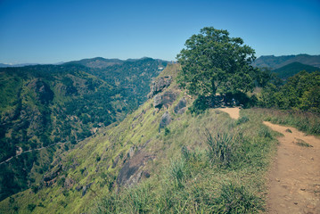 Wall Mural - mountain landscape in Sri Lanka