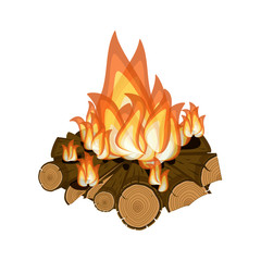 Wall Mural - wood burning, bright campfire isolated on white background.