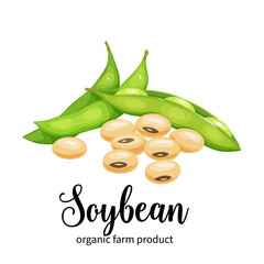 Wall Mural - soybean in cartoon style