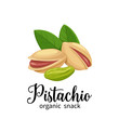 pistachio in cartoon style
