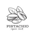 hand drawn pistachio nuts