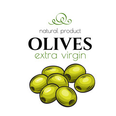 Wall Mural - hand drawn olives icon badge