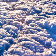 Wall Mural - clouds and blue sky seen from airplane