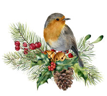 Watercolor Christmas Composition With Bird. Hand Painted Robin With Fir And Berry Branch, Mistletoe, Holly, Pine Cone And Bells Isolated On White Background. Holiday Card