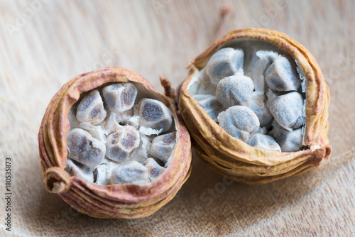 Valokuva Dried Herbs, Latin name: Amomum villosum Lour