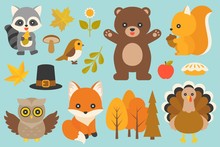 Wild Animal And Elements Such As Bear, Turkey, Bird, Fox, Owl, Raccoon, Mushroom, Maple Leaves, Branch With Leaves, Pilgrim Hat For Thanksgiving Day And Autumn Season In Flat Design