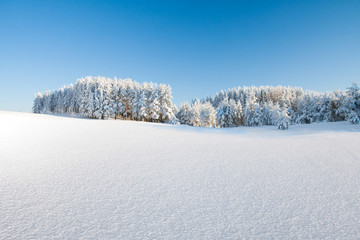 Aufkleber - Winter park