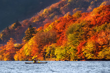 Undefined Traveler Kayaking Over The Lake With Autumn Season Around Lake At Nikko, Japan, Landscape And Sport Concept