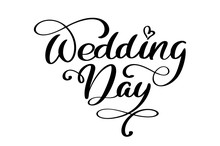 Wedding Day Vector Text On White Background. Calligraphy Lettering Illustration