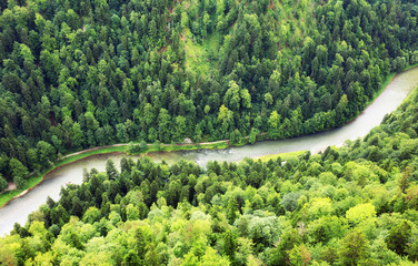 Wall Mural - Mountain river between mountain green peaks landscape