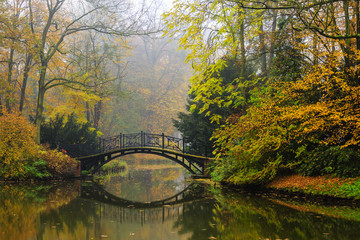 Poster - Scenic view of misty autumn landscape with beautiful old bridge in the garden with red maple foliage.