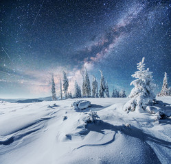 Wall Mural - Dairy Star Trek in the winter woods. Dramatic and picturesque scene. In anticipation of the holiday.