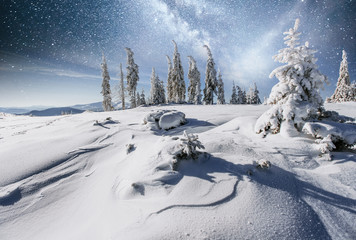 Wall Mural - starry sky in winter snowy night. fantastic milky way in the New Year's Eve. Starry sky snowy winter night. The Milky Way is a fantastic New Year's Eve