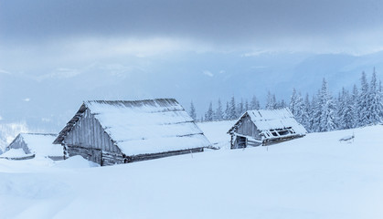 Wall Mural - Cabin in the mountains in winter. Mysterious fog. In anticipation of holidays. Carpathians. Ukraine, Europe