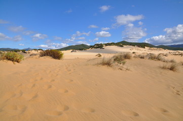 Dune di Piscinas