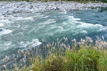 Wall Mural - Strong and danger cold flowing blue river water and huge stone and rocks in autumn japan as adventure travel