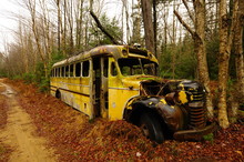 Abandoned School Bus Free Stock Photo - Public Domain Pictures