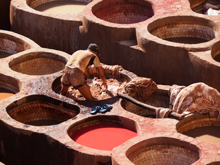 Man standing waist deep in dyes - Coloration of leather in a ancient traditional leather tanneries tannery, Fes, Morocco, Africa