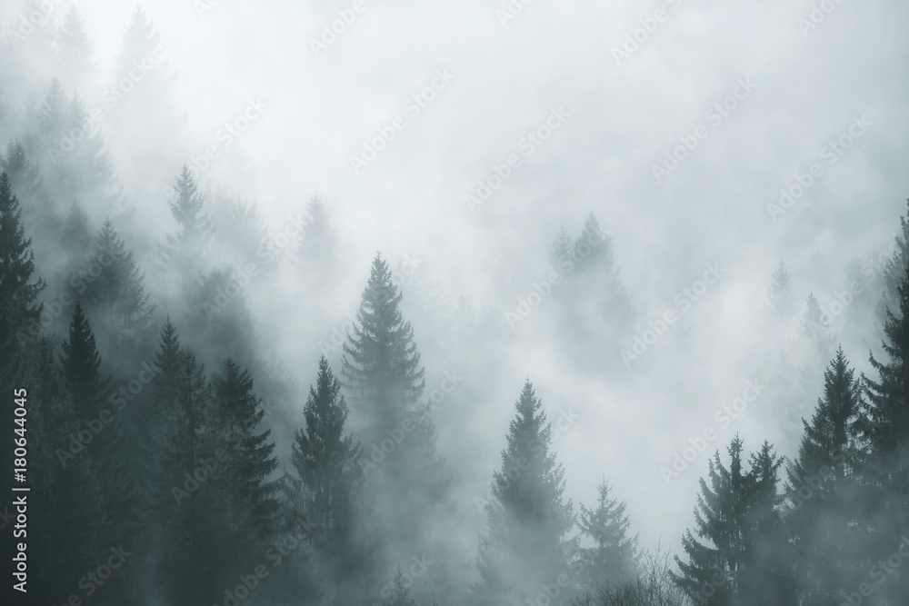 Fantasy foggy forest in the morning fog. Picture was taken in Slovenia, EU. - obrazy, fototapety, plakaty 