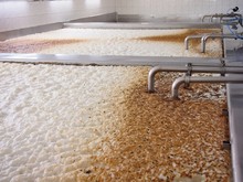 Fermenting Of A Beer In An Open Fermenters In A Brewery.