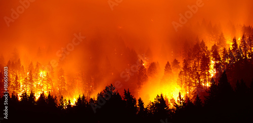 Plakat pożar lasu