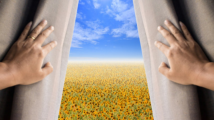 Man and hope concept . man opening window curtains and seeing the flower field