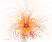 Fractal Orange Flower On A White Background