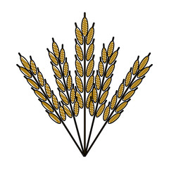 Poster - Harvest of wheat symbol Icon vector illustration graphic design