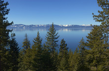 Lake Tahoe, California With Pine Trees In Front And The Sierra, Nevada Mountains In The Background