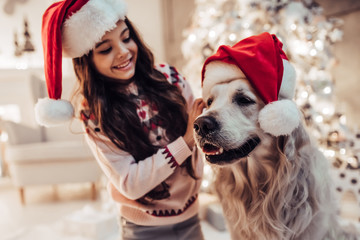 Wall Mural - Girl with dog on New Year's Eve