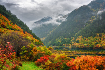 Sticker - Fantastic view of mountains in fog, colorful fall forest and lakes