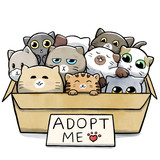 Fototapeta Koty - Box full of cats for adoption