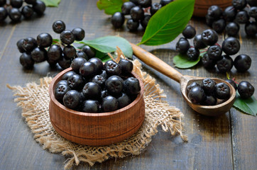 Wall Mural - Aronia melanocarpa