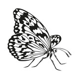 Fototapeta Motyle - Icon of butterfly silhouette on the white background.