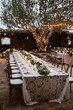 An Outdoor Dinner Celebration Long Table Setting