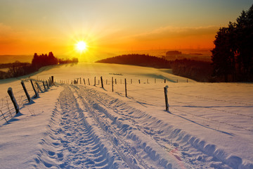 Wall Mural - winter sunset landscape with trees and field road.