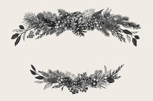 Winter Set. Floral Christmas Compositions. Evergreen, Cone, Succulents, Flowers, Leaves, Berries. Botanical Vector Vintage Illustration. Black And White