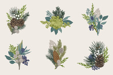 Winter Set. Floral Christmas Bouquets. Evergreen, Cone, Succulents, Flowers, Leaves, Berries. Botanical Vector Vintage Illustration. Colorful
