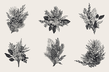 Winter set. Floral christmas bouquets. Evergreen, cone, succulents, flowers, leaves, berries. Botanical vector vintage illustration. Black and white