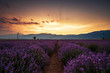 Sunset over fields of lavender in the bulgaria