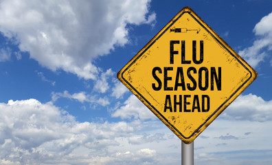 flu season ahead metallic vintage sign