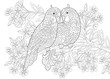 Coloring page of two parrots in love and floral background with flowers. Freehand sketch drawing for Valentine's Day vintage greeting card or adult antistress coloring book.