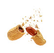 Dried peanut broken into two parts on white background