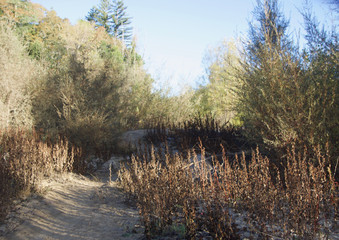 Riverfront Regional Park - two beautiful lakes for fishing, kayaking, canoeing and stand-up paddling. A trail loops around the larger lake, Lake Benoist, with beach on the Russian River, redwood.