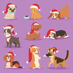 Wall Mural - Christmas dog vector cute cartoon puppy characters illustration home pets doggy different Xmas celebrate poses in Santa Red Hat