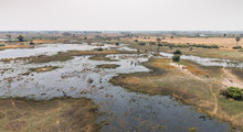 Wildlife In The Okavango Delta